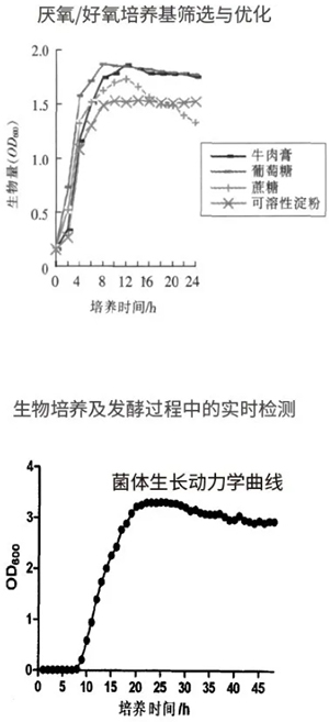 过程安全，结果精准